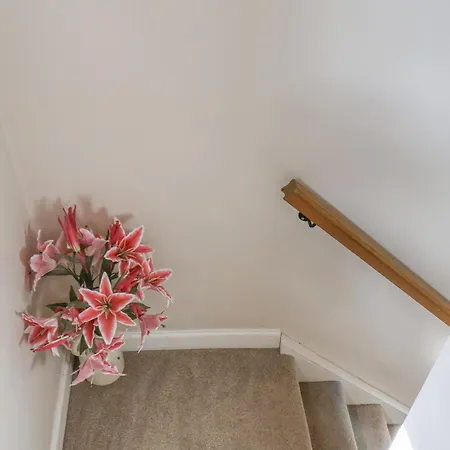 Rooftops Γουίτμπι